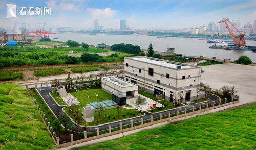上海城投水务成立十年 连接起民生与城市发展