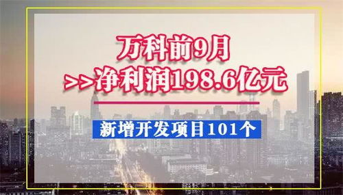 万科前9月净利润198.6亿元,新增开发项目101个