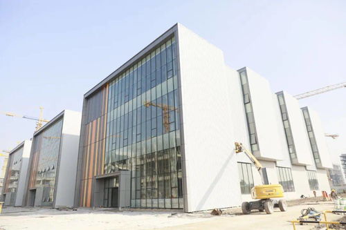从落户到厂房交付仅用时2个月 康希诺 上海 在临港的项目为何能一路 跑步向前