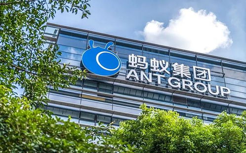 蚂蚁集团新公司获批开业,未来6个月,花呗 借呗要变