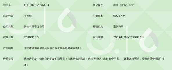 北京金泰嘉业房地产开发