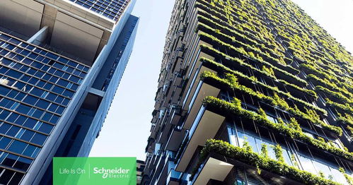 双碳时代,房地产企业社会责任需融入经营发展并行