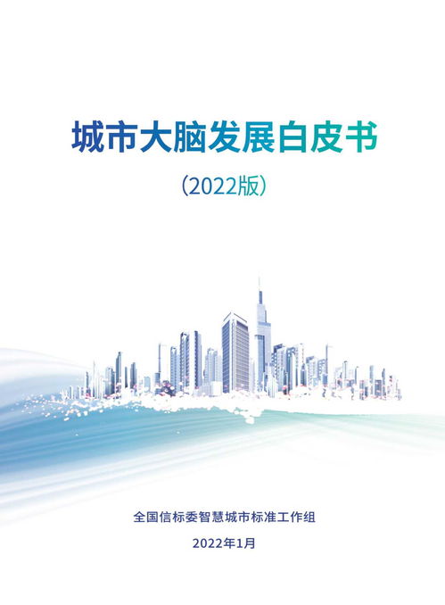 城市大脑发展白皮书 2022